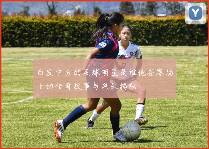 白发中分的足球明星是谁他在赛场上的传奇故事与风采揭秘