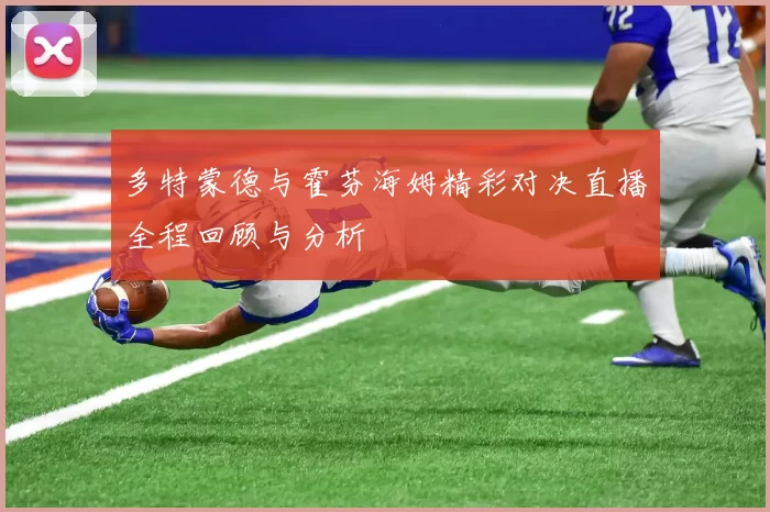多特蒙德与霍芬海姆精彩对决直播全程回顾与分析
