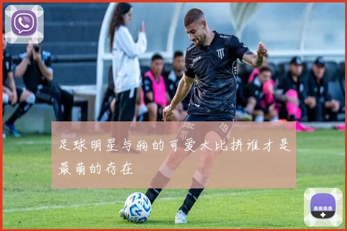 足球明星与狗的可爱大比拼谁才是最萌的存在