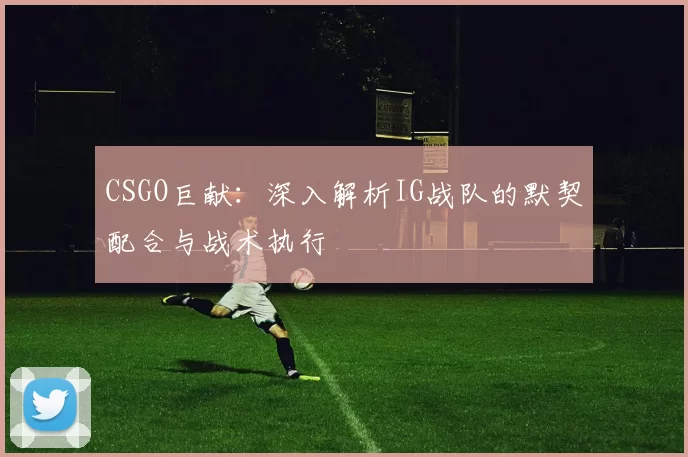 CSGO巨献：深入解析IG战队的默契配合与战术执行