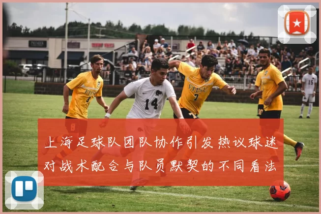 上海足球队团队协作引发热议球迷对战术配合与队员默契的不同看法
