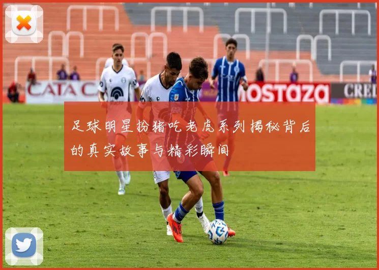 足球明星扮猪吃老虎系列揭秘背后的真实故事与精彩瞬间