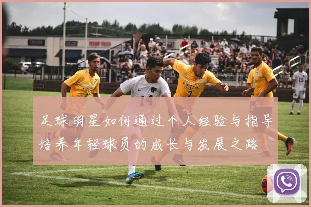 足球明星如何通过个人经验与指导培养年轻球员的成长与发展之路