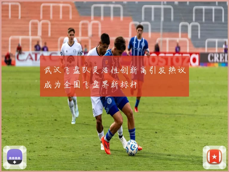 武汉飞盘队灵活性创新高引发热议成为全国飞盘界新标杆