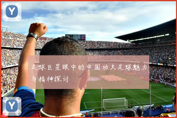 足球巨星眼中的中国功夫足球魅力与精神探讨