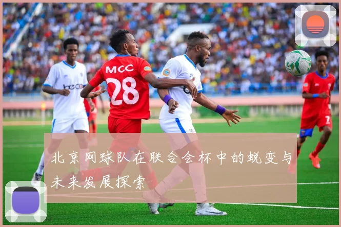 北京网球队在联合会杯中的蜕变与未来发展探索