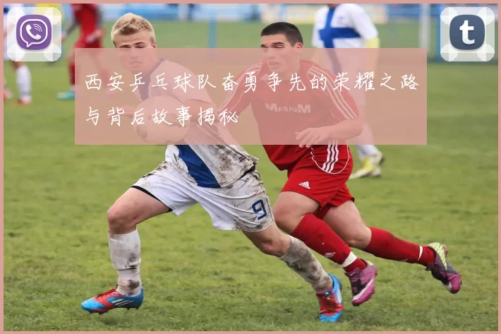 西安乒乓球队奋勇争先的荣耀之路与背后故事揭秘