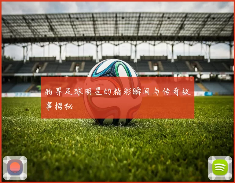 狗界足球明星的精彩瞬间与传奇故事揭秘