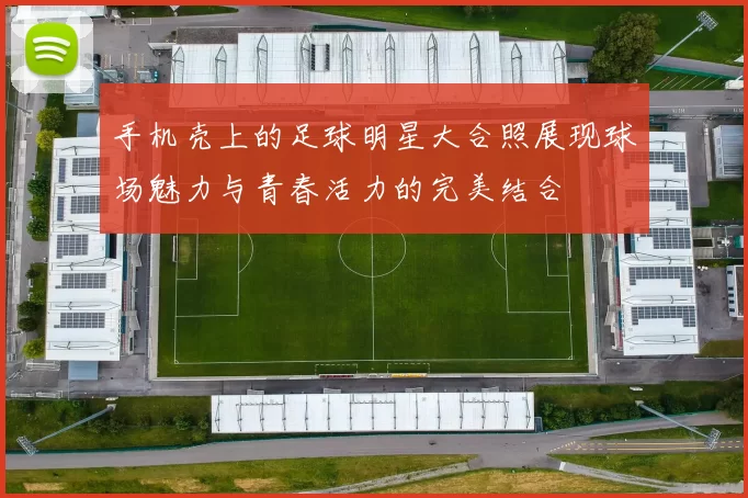 手机壳上的足球明星大合照展现球场魅力与青春活力的完美结合