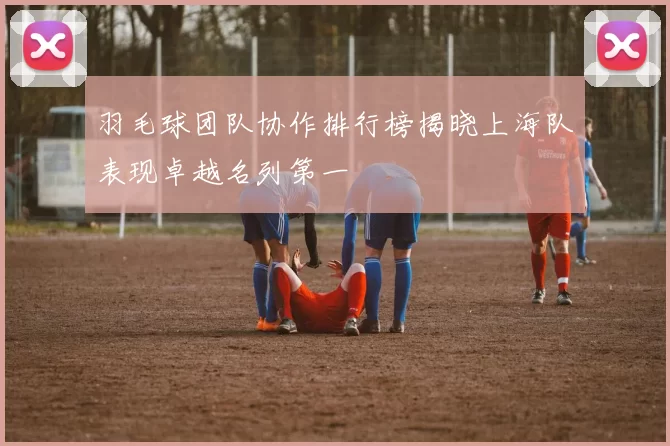 羽毛球团队协作排行榜揭晓上海队表现卓越名列第一